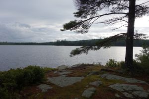 View from the island on Rock Pond